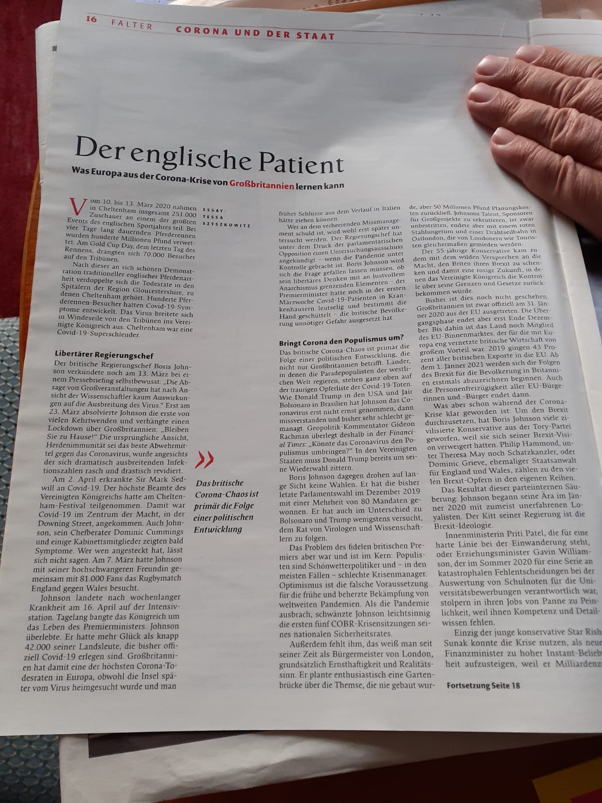 Der englische Patient